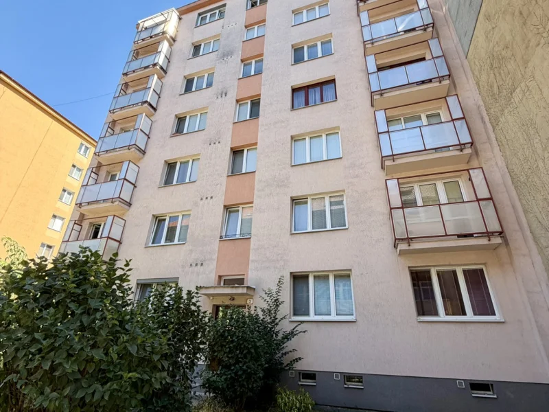Czambelova 3