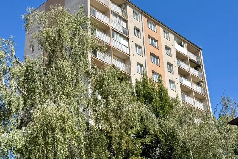 Palkovičova 7