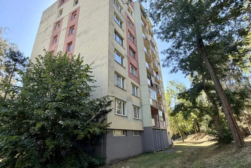 Watsonova 55